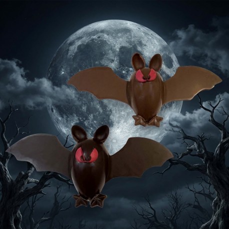 Chauve-souris